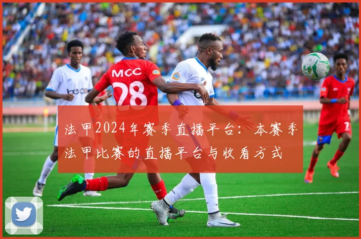 法甲2024年赛季直播平台:本赛季法甲比赛的直播平台与收看方式