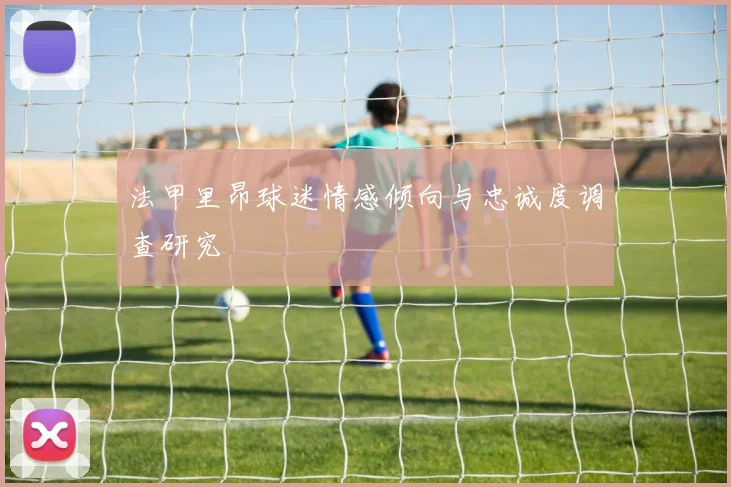 法甲里昂球迷情感倾向与忠诚度调查研究