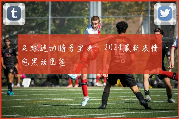 足球迷的暗号宝典:2024最新表情包黑话图鉴