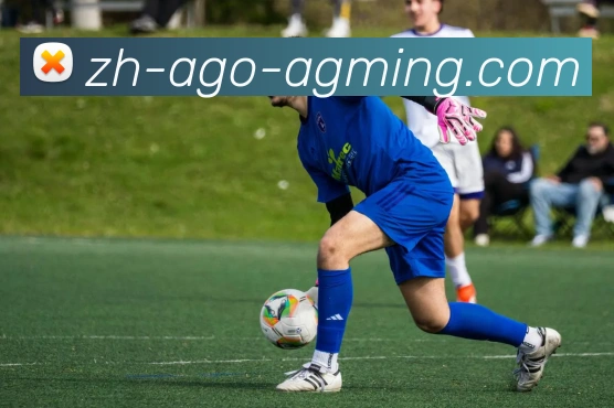 AG娱乐登录平台生态图