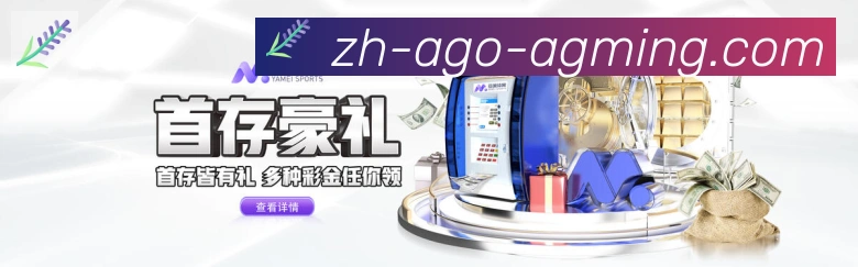 未来规划