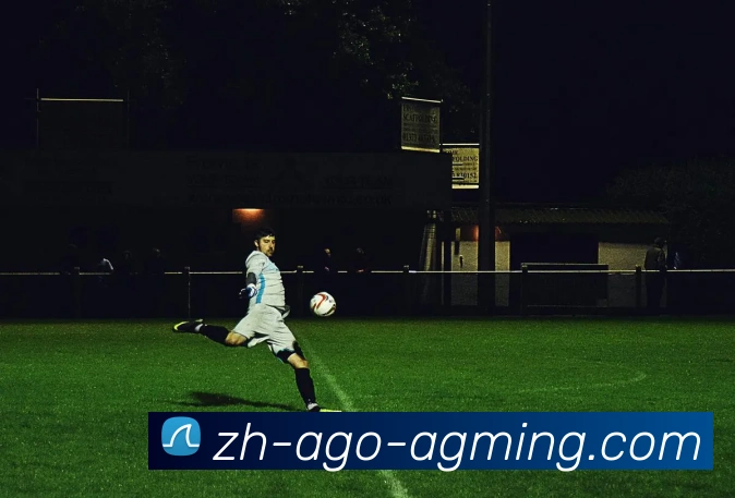 AG娱乐登录APP 封面图